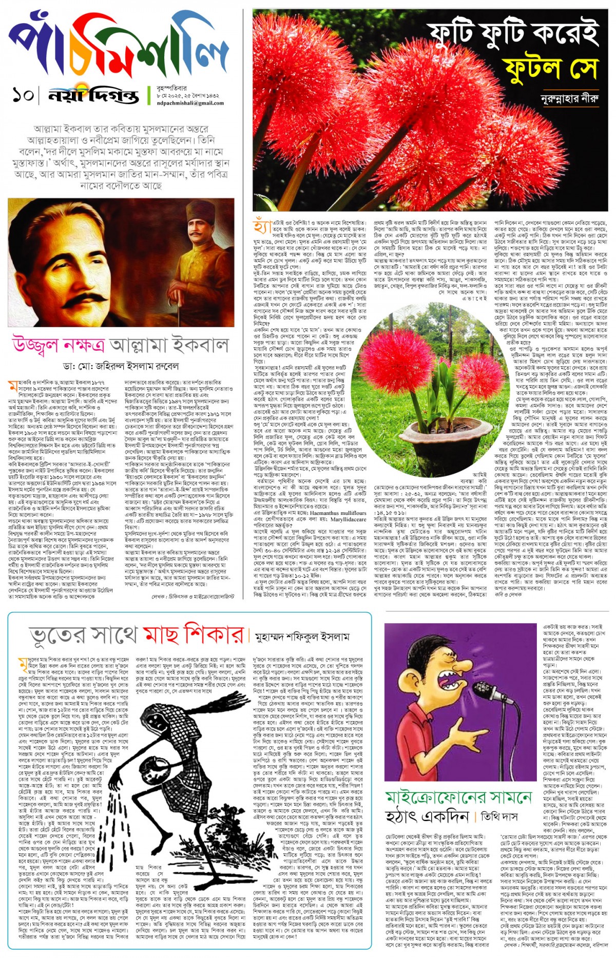 পাঁচমিশালি