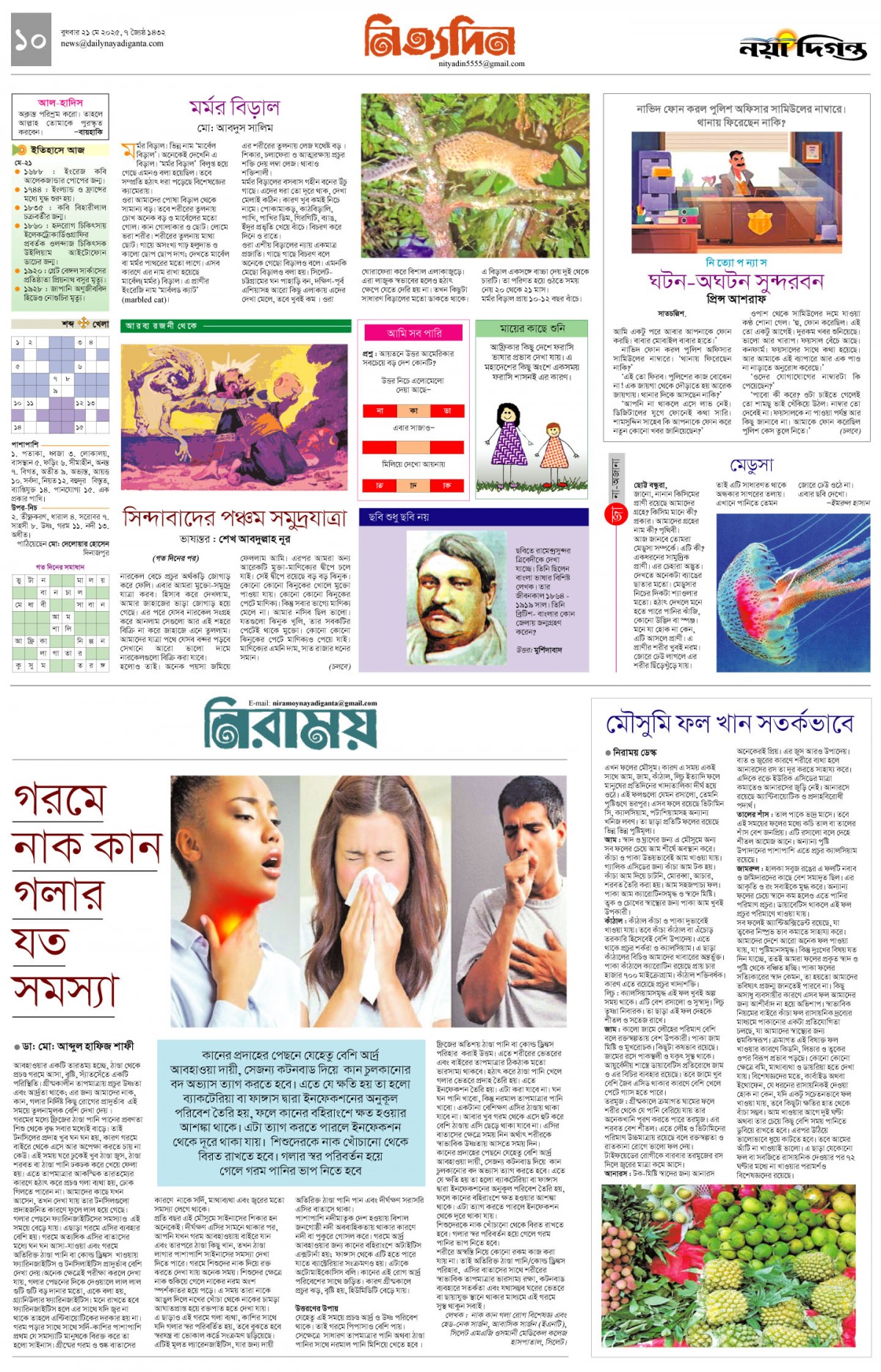 নিত্যদিন+নিরাময়