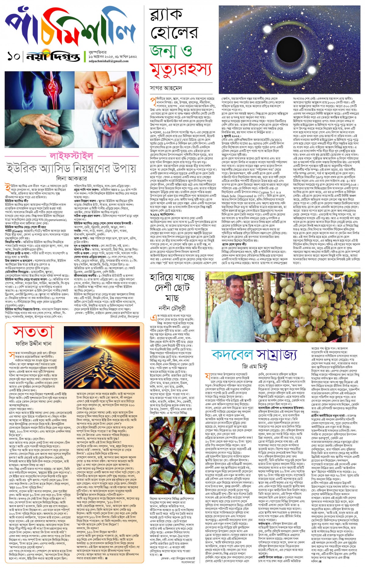 পাঁচমিশালি