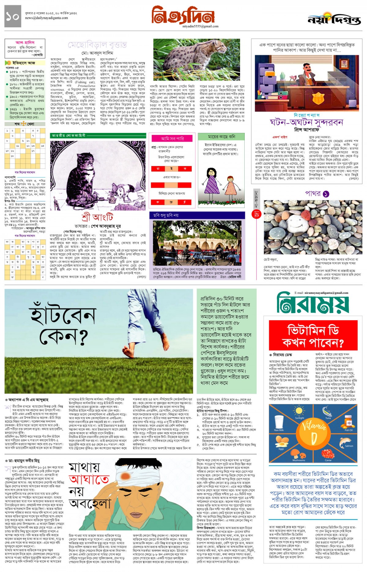 নিত্যদিন+নিরাময়