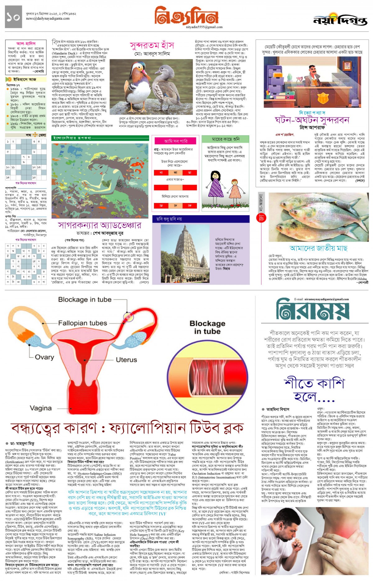 নিত্যদিন+নিরাময়