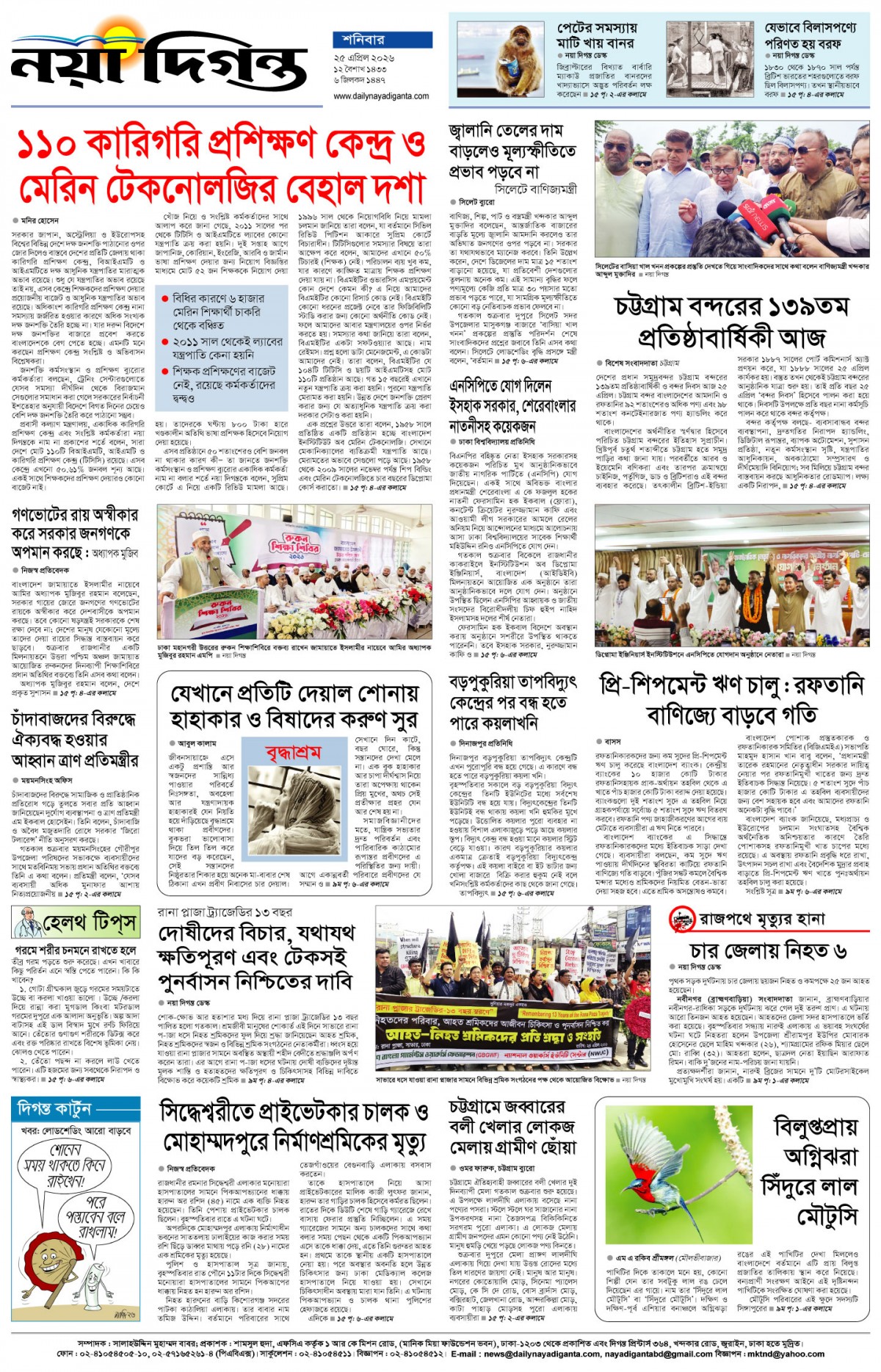 শেষের পাতা