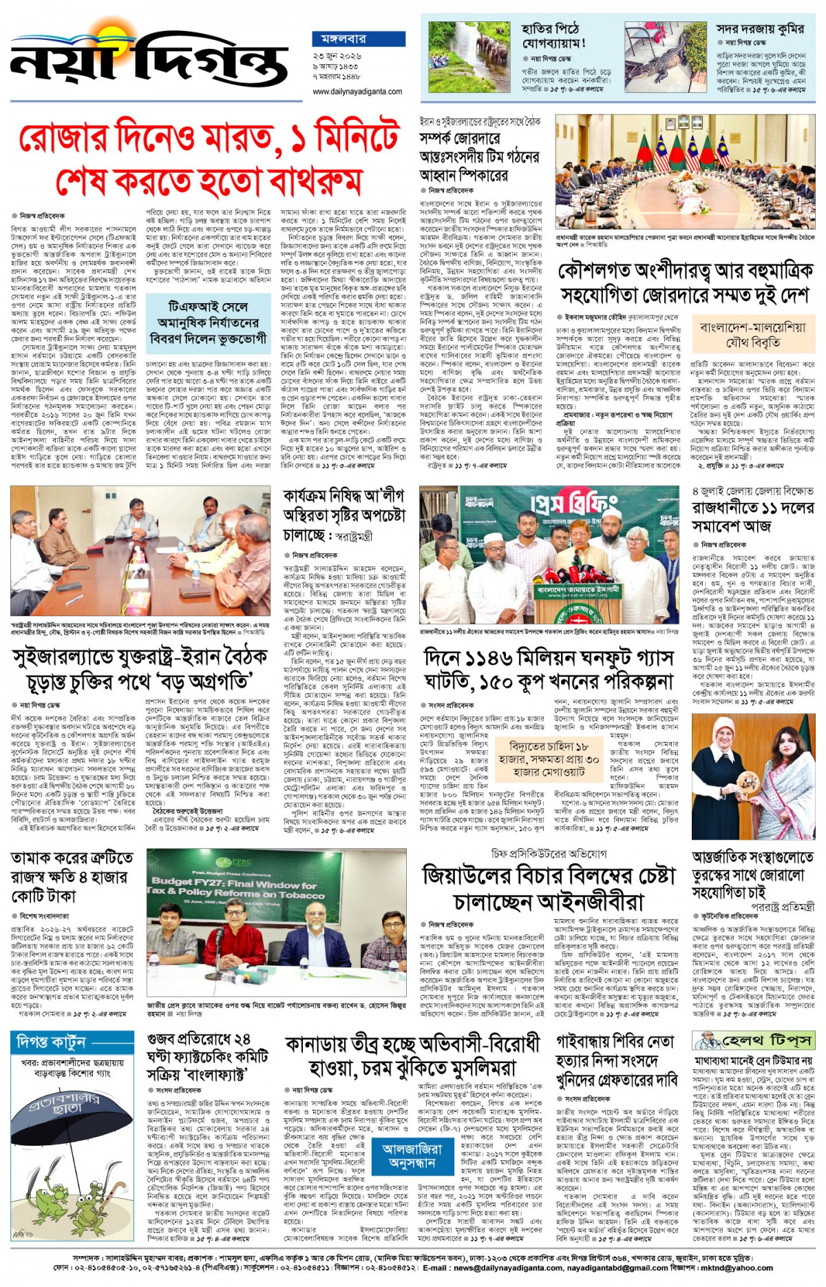 শেষের পাতা