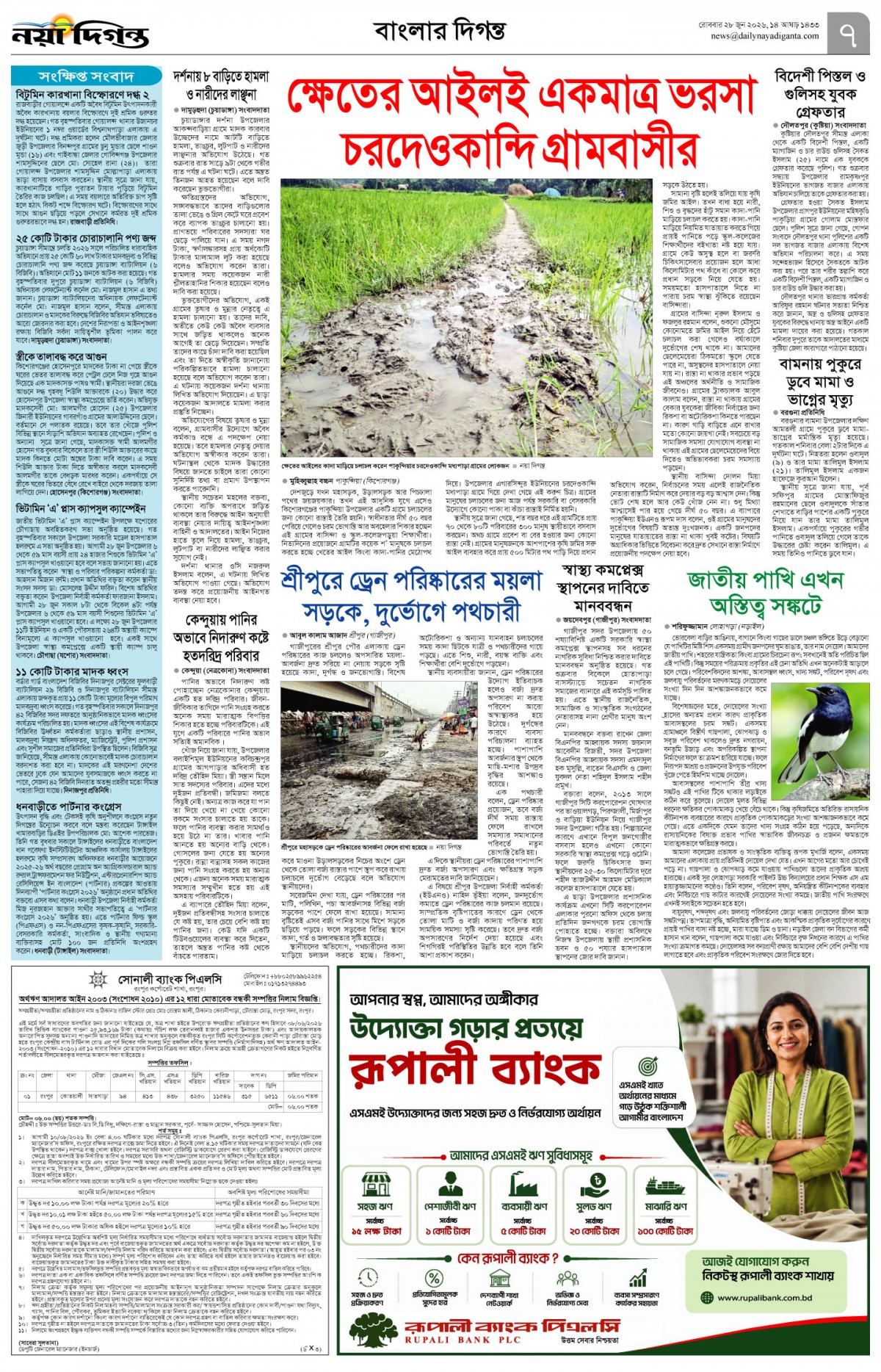 বাংলার দিগন্ত