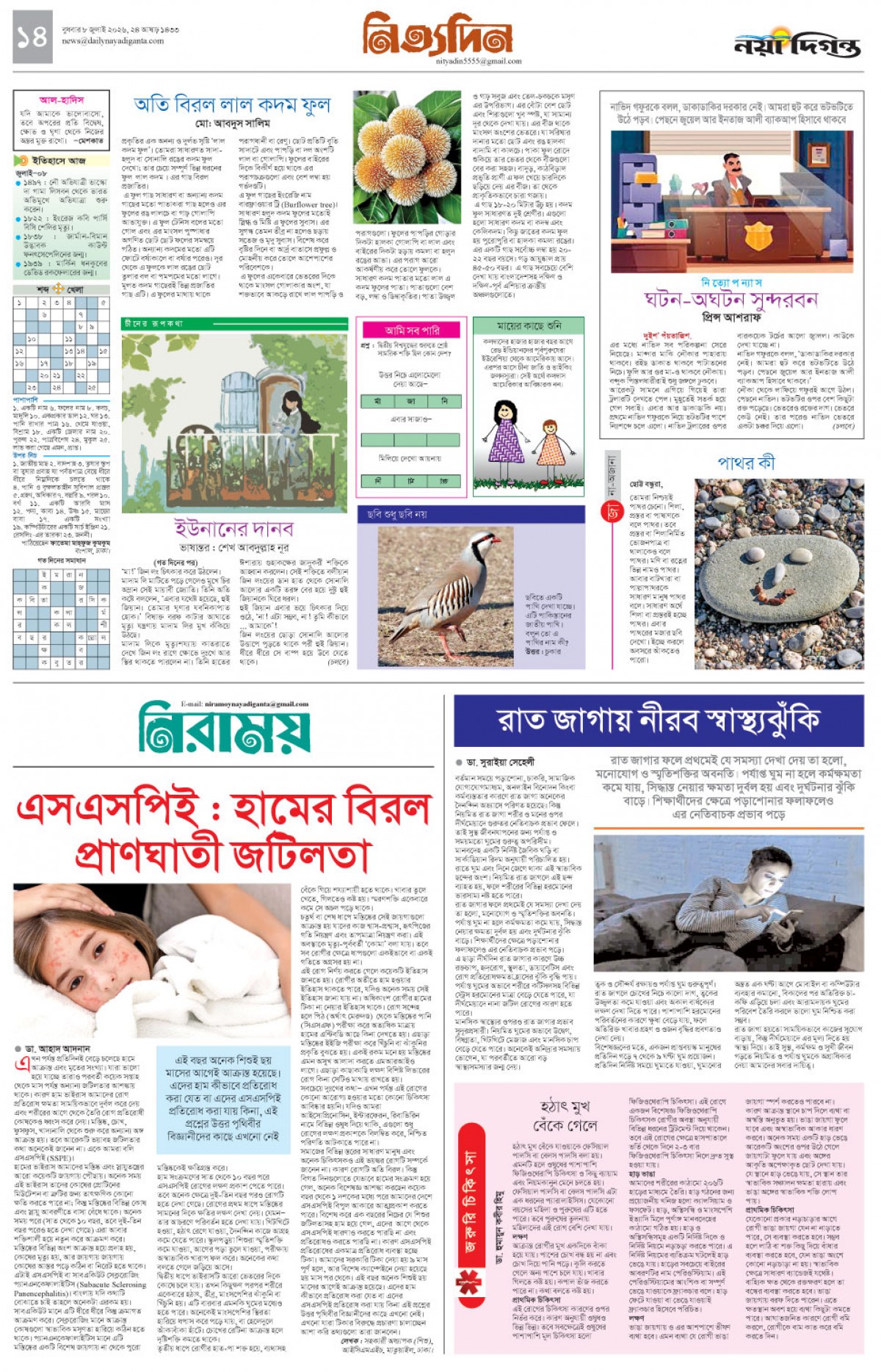 নিত্যদিন+নিরাময়